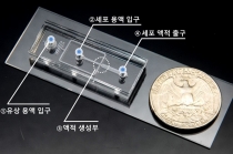 미세유체 바이오칩 기반으로 새로운 항암제 개발 나선다
