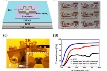 유연하고 투명한 생분해성 유기 광트랜지스터