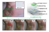 초박막 유연 디스플레이, 2차원 반도체로 개발 성공