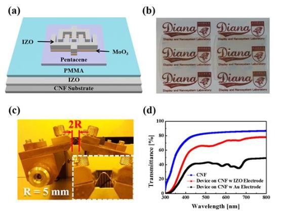 유연하고 투명한 생분해성 유기 광트랜지스터