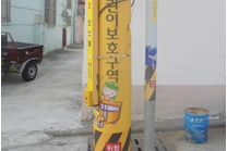 노란 옷으로 갈아입은 전신주, 이유라도 있는 걸까