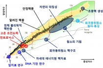 라온 중이온가속기, 2021년 구축 완료