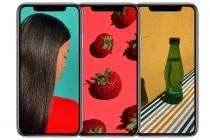 [모바일 On] 삼성전자 흔적 줄이기 나선 애플, 신규 아이폰 OLED에는 LG디스플레이 제품 사용