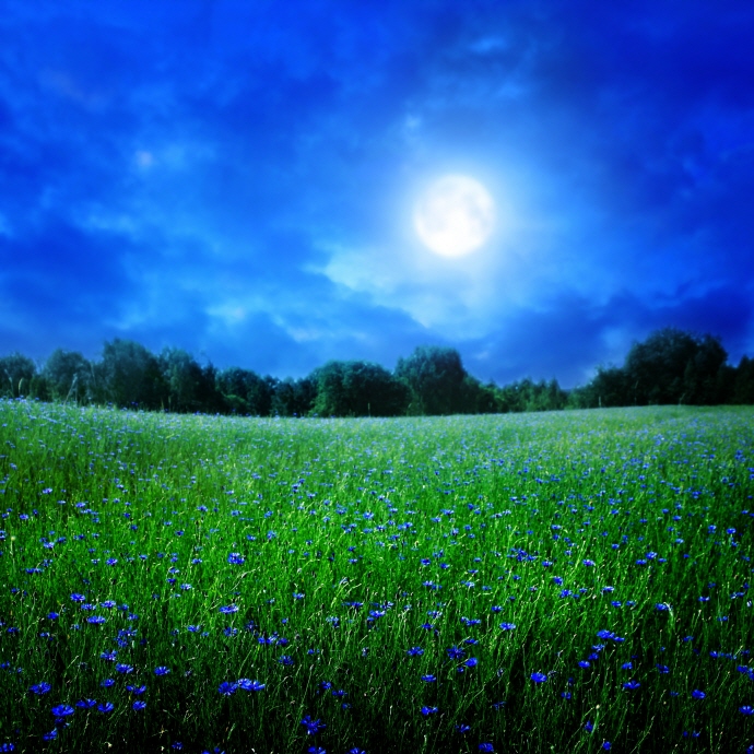 [청년일자리 job기-기업편] 인재~가면, 언제~오나