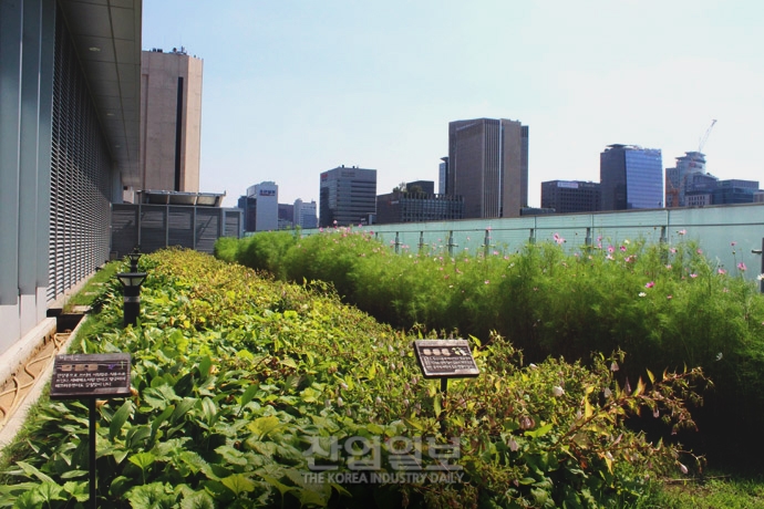 [사진으로 보는 산업뉴스] 서울시 공공건물, 옥상정원 조성으로 ‘냉난방비’ 줄인다