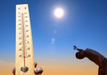 이렇게 더워도 되나 연일 지속된 폭염, 온열질환(열사병) 환자 사망