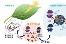 차세대 이차전지의 광합성 반응 모사 가능해져