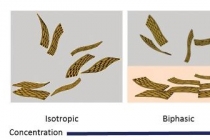 국내 기술로 만든 ‘그래핀 액정’, 영국왕립학회지 통해 세계관심 집중