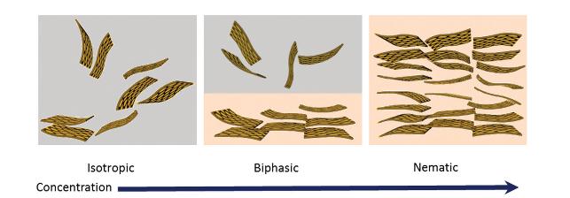 국내 기술로 만든 ‘그래핀 액정’, 영국왕립학회지 통해 세계관심 집중