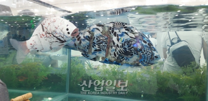 [포토뉴스] 우리 집 어항에는 ‘로봇 물고기’가 산다