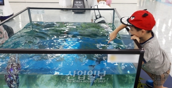 [포토뉴스] 우리 집 어항에는 ‘로봇 물고기’가 산다