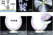 그래핀 전극에서 액정배열 방향, 액정과 그래핀 만나는 순간에 결정된다