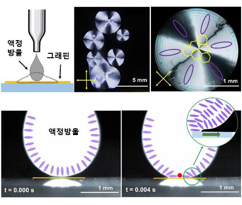 그래핀 전극에서 액정배열 방향, 액정과 그래핀 만나는 순간에 결정된다