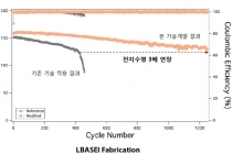 효율 2배 높아진 리튬금속-이온전지 개발