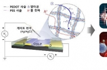 전자소자, 인체 이식 가능해졌다
