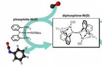 독성 가스인 포스겐 사용없이 폴리우레탄 전구체 합성 가능해져