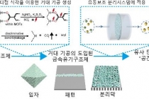 신소재 분리막, 유사 단백질 선별에 활용된다