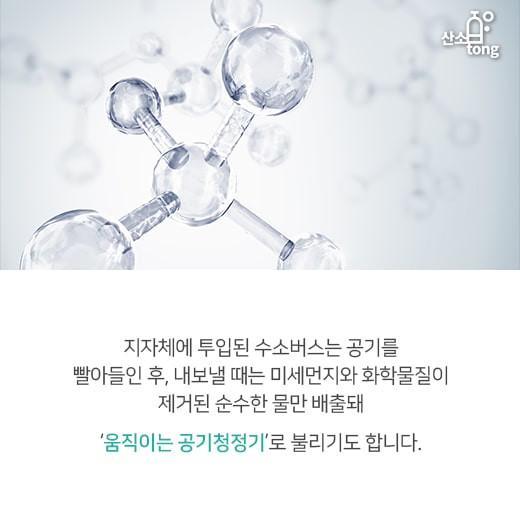 [카드뉴스] 버스, ‘친환경’을 입다