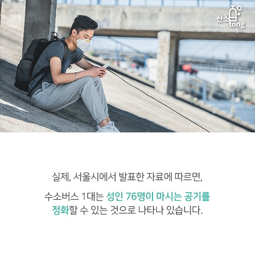 [카드뉴스] 버스, ‘친환경’을 입다