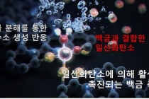 백금 촉매 활성화, 연탄가스로 끌어올린다