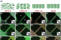 유기 반도체 기반 트랜지스터, 액정 물질 특성 이용해서 개발