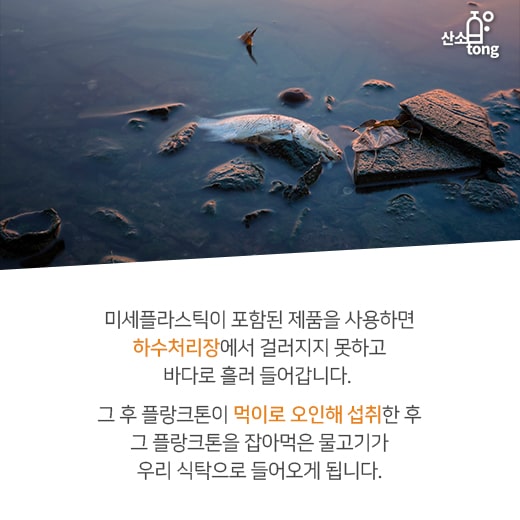 [카드뉴스] 미세플라스틱, 환경에 악영향 미쳐
