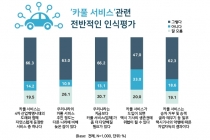 [그래픽뉴스] 택시 호출서비스 & 카풀 서비스