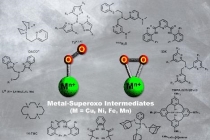 생체모사 촉매 개발, ‘금속-수퍼옥소’연구로 박차 가해