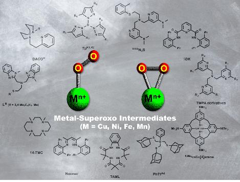생체모사 촉매 개발, ‘금속-수퍼옥소’연구로 박차 가해