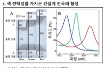 이미지 센서에서 컬러필터 제외해 공간 집약도 높이는 기술 개발 성공