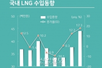 LNG, 2019년 수요 전년보다 감소…장기적 수익 전망은 ‘양호 유지’