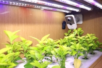 [사진으로 보는 산업뉴스] 정부·농민단체, 스마트팜 혁신밸리 사업 두고 갈등 심화