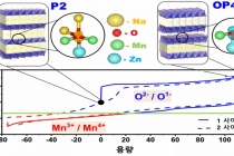 나트륨 이차전지, 이제 음이온에서도 반응한다