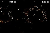 미세플라스틱, 흙 속 생물 움직임 방해한다