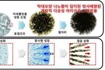 리튬황전지 안정성, ‘분무 동결’로 높인다