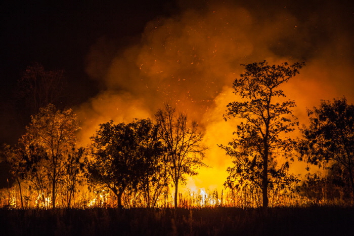 고성산불, 한전이 ‘변압기 등 보수 비용 줄인 탓(?)’
