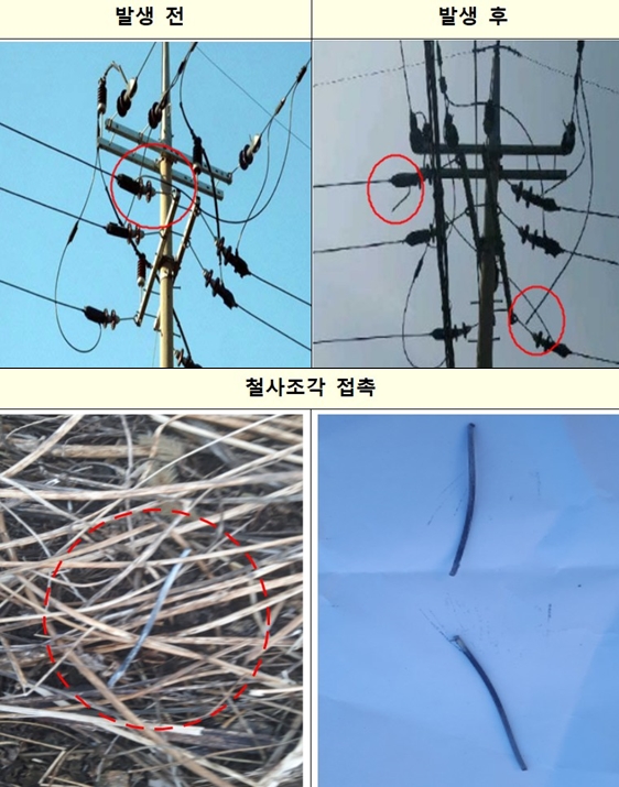 고양시 전력설비 고장 화재 원인, 한전 입장 밝혀