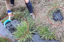 공장폐수와 가축분뇨 몰래 배출 여전