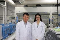 1만 배 커진 2차원‘화이트 그래핀(h-BN)’합성 성공