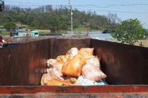 다른 시도에서 허가받고 비밀사업장 운영, 9개 업체 형사입건