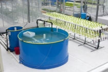 환경 친화적인 아쿠아포닉스 여과장치 개발