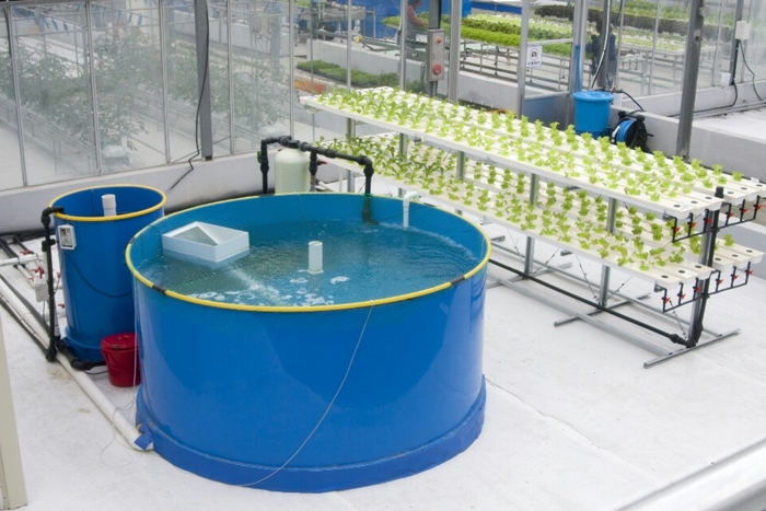 환경 친화적인 아쿠아포닉스 여과장치 개발