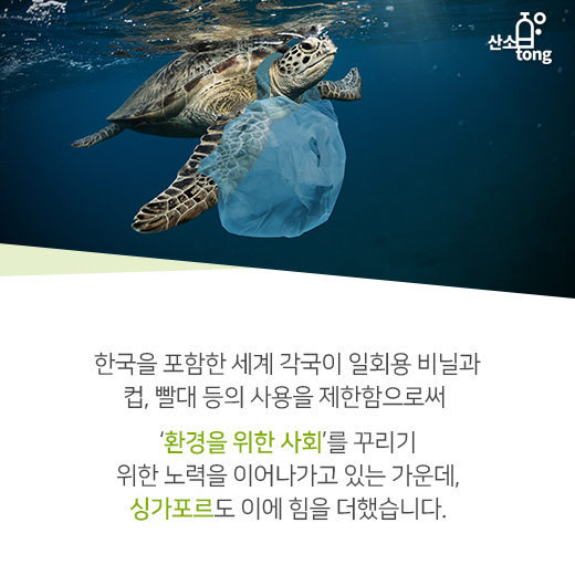 [카드뉴스] 싱가포르, ‘플라스틱 빨대 OUT’ 외친다