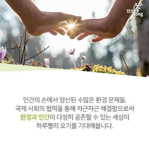 [카드뉴스] 싱가포르, ‘플라스틱 빨대 OUT’ 외친다