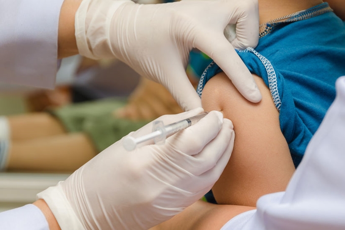 올해 독감(인플루엔자)백신 2천500만 명분 출하