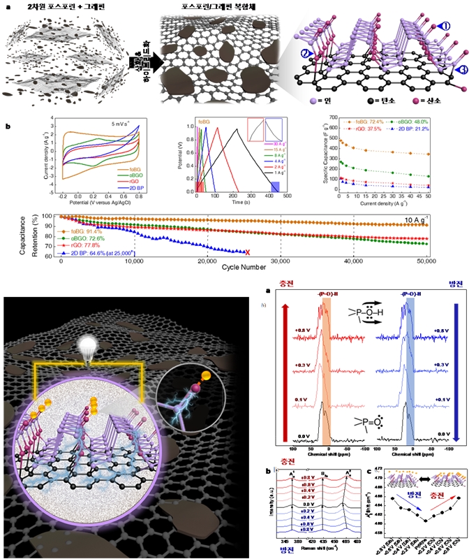 2차원 반도체 포스포린의 에너지 저장 기작 규명