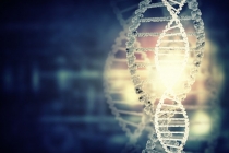 ‘사진 사업’ 안녕…‘바이오 시장’ 찾아 나선 후지필름