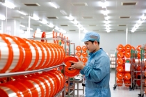 LS전선, 네팔 정부의 전국 광통신망 구축 1차 사업 수주