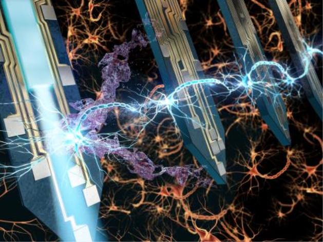 초소형 다기능 브레인칩 개발로 신경회로 조절 가능해져