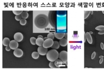 빛에 반응해 모양·색 변하는 마이크로 입자 개발 성공